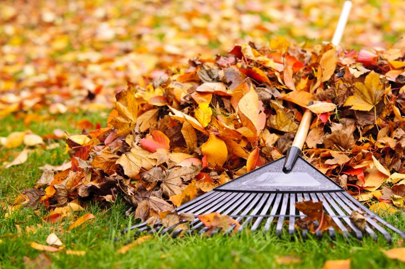 Final Leaf Cleanup