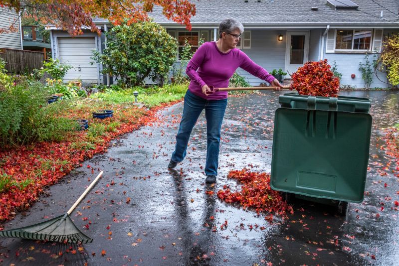 Leaf Disposal Process