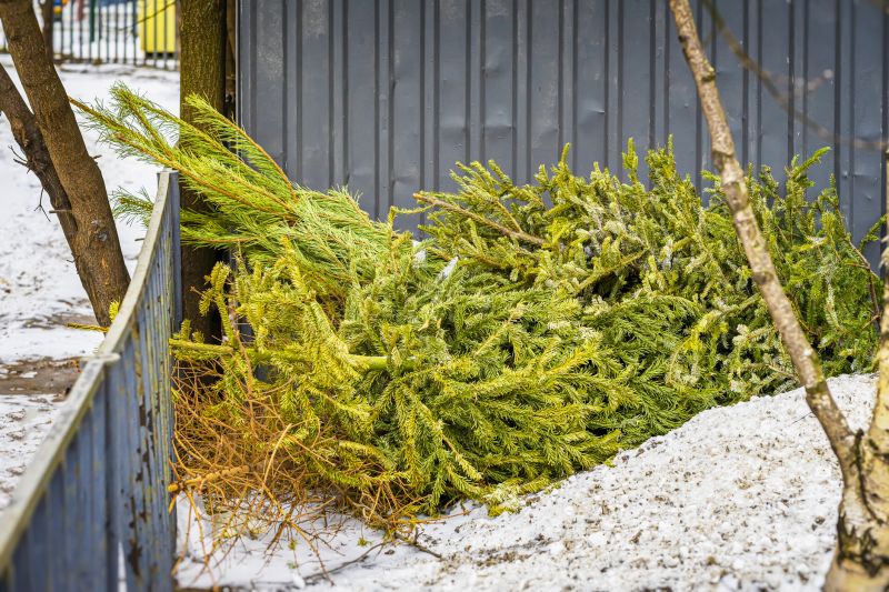 Debris Clearing Post-Removal