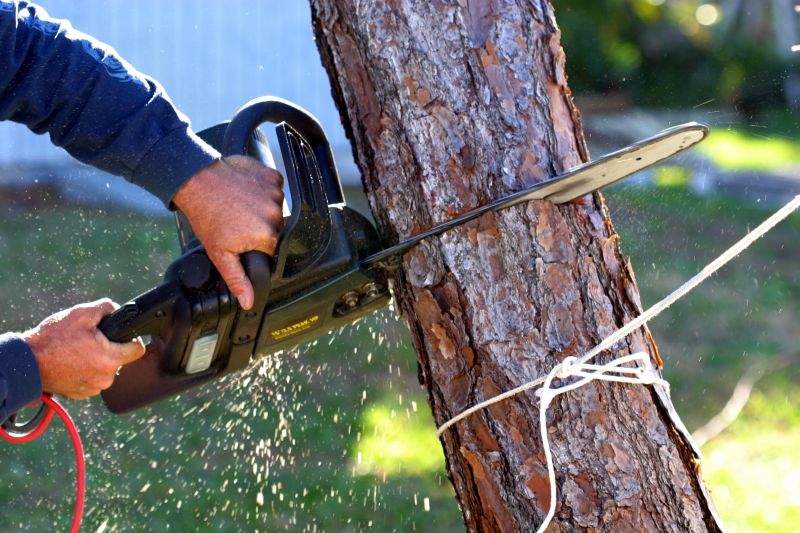 Commercial Property Tree Removal